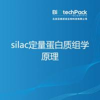 silac定量蛋白质组学原理-百泰派克生物科技