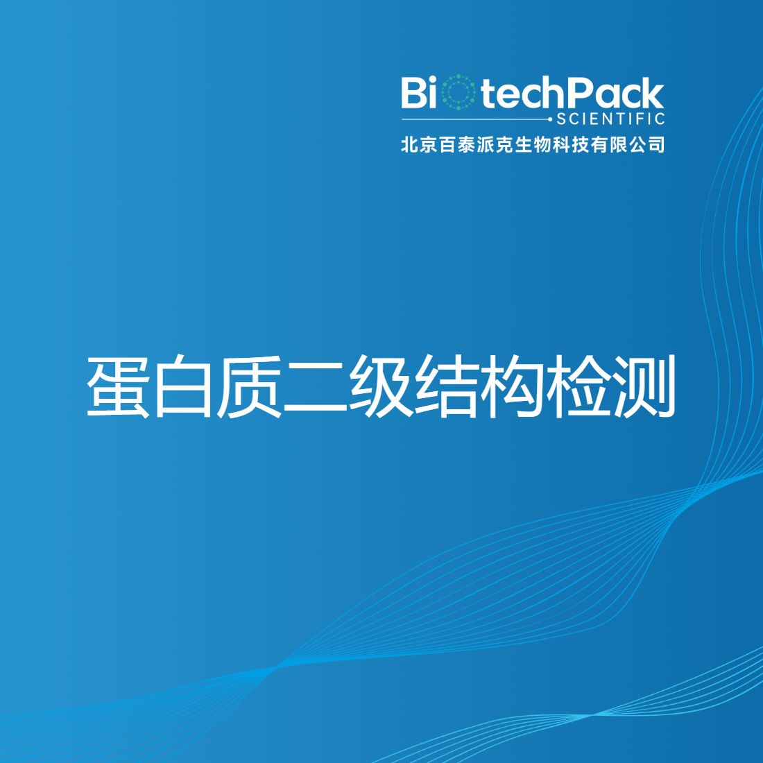 蛋白质二级结构检测