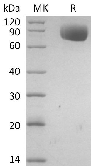 产品细节图片1