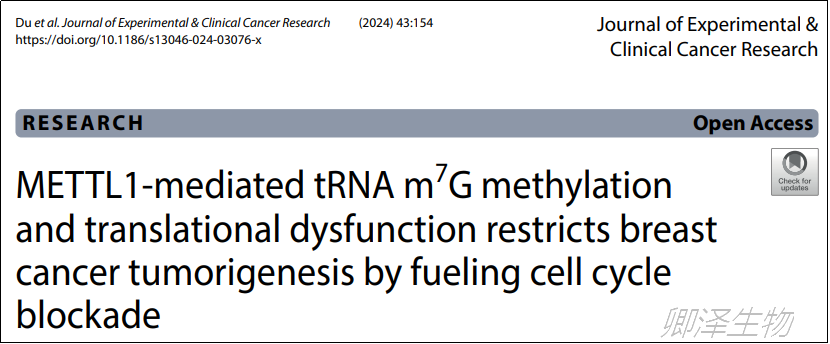 J Exp Clin Cancer Res. | 翻译组学技术助力揭示tRNA m7G修饰在乳腺癌中的肿瘤抑制作用