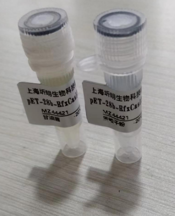 产品细节图片1