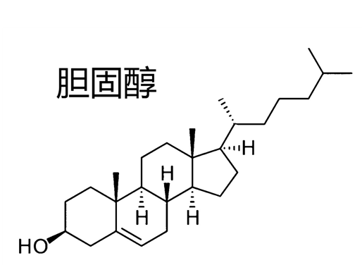 好胆固醇？坏胆固醇？胆固醇代谢竟有双重“醇”格？！