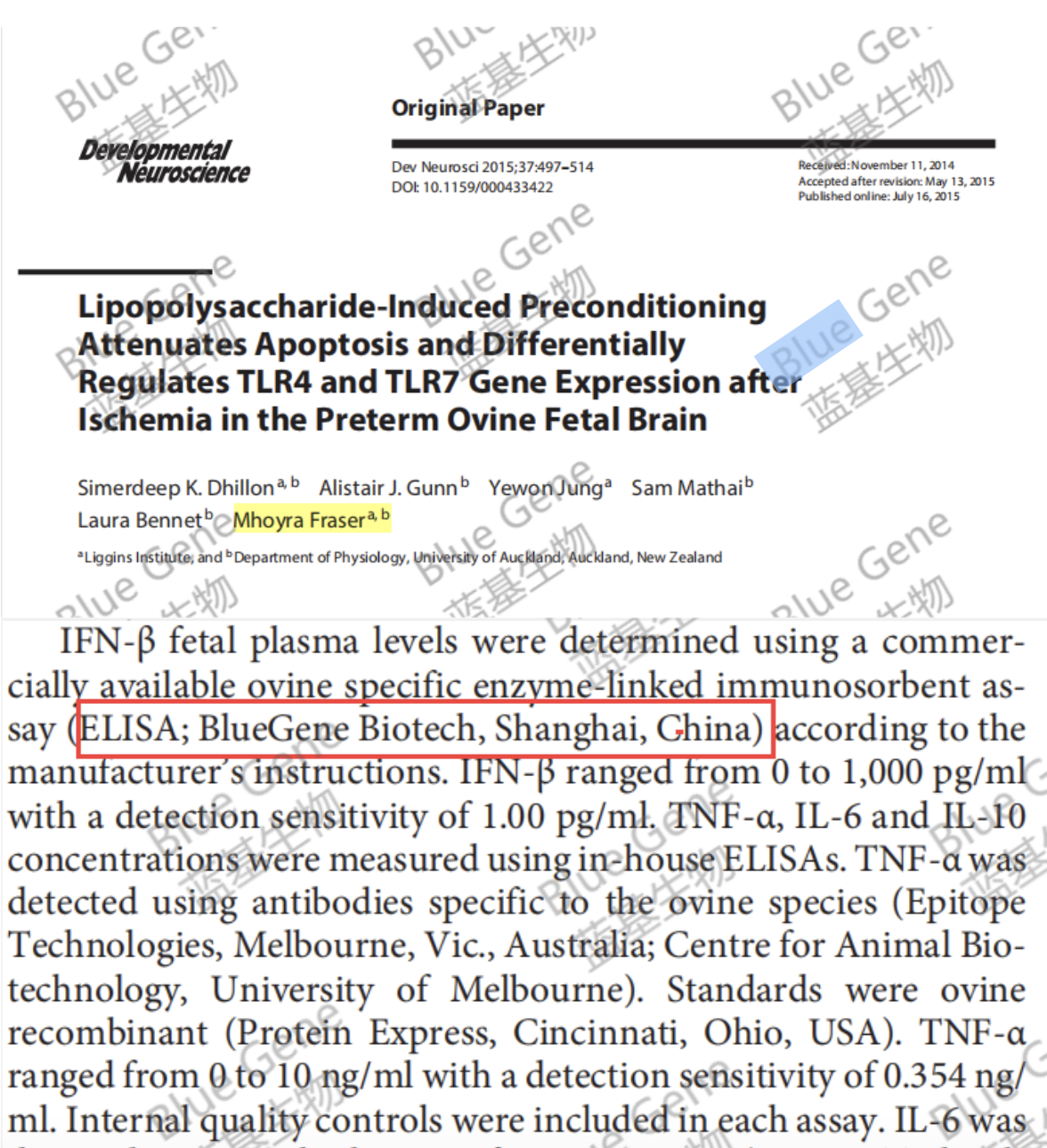 Sheep Interferon β(IFN-β) ELIS