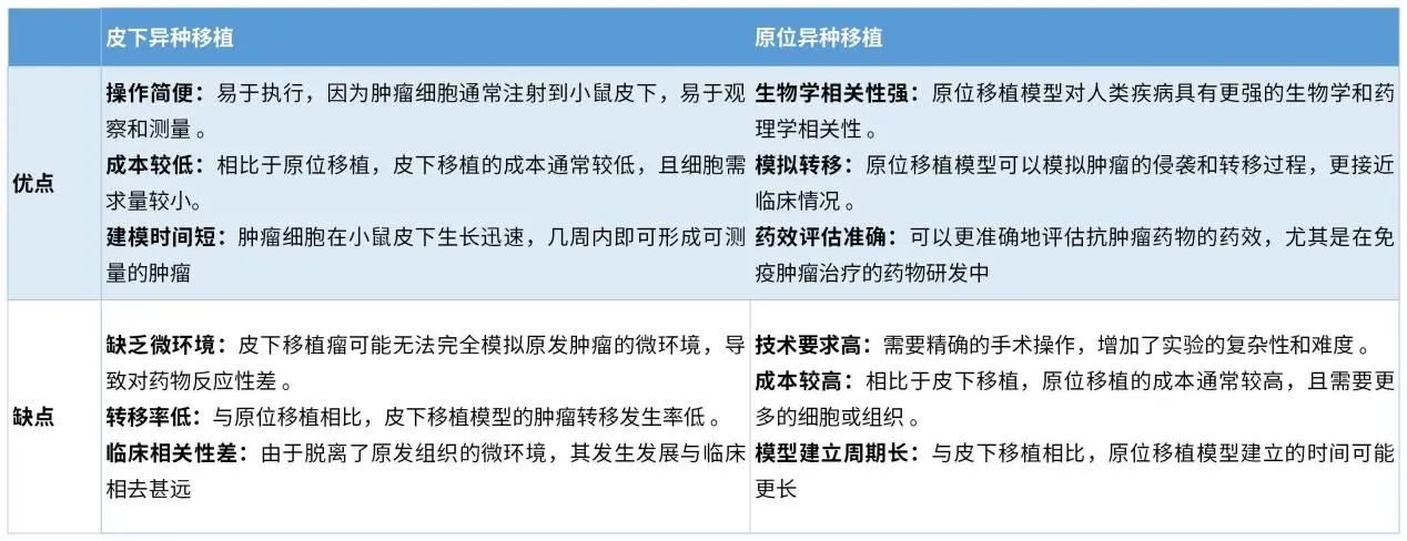 癌症研究新纪元：探索原位肿瘤模型的全貌