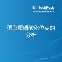 蛋白质磷酸化位点的分析-百泰派克生物科技