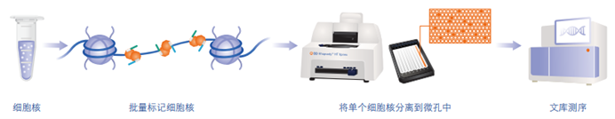解锁细胞的“开关”：单细胞ATAC测序在肿瘤研究中的应用与未来