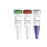 高产量、高灵敏一步法RT-PCR试剂(P613/614)