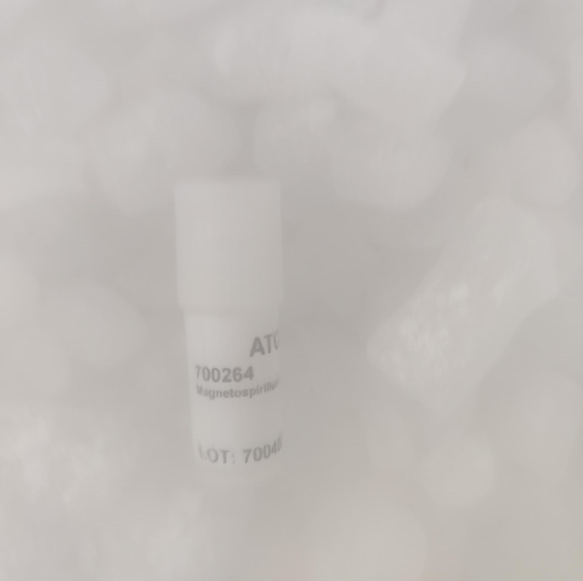 Bacillus paralicheniformis