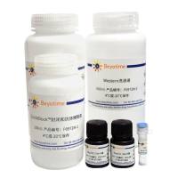 His标签蛋白超快速Western检测试剂盒