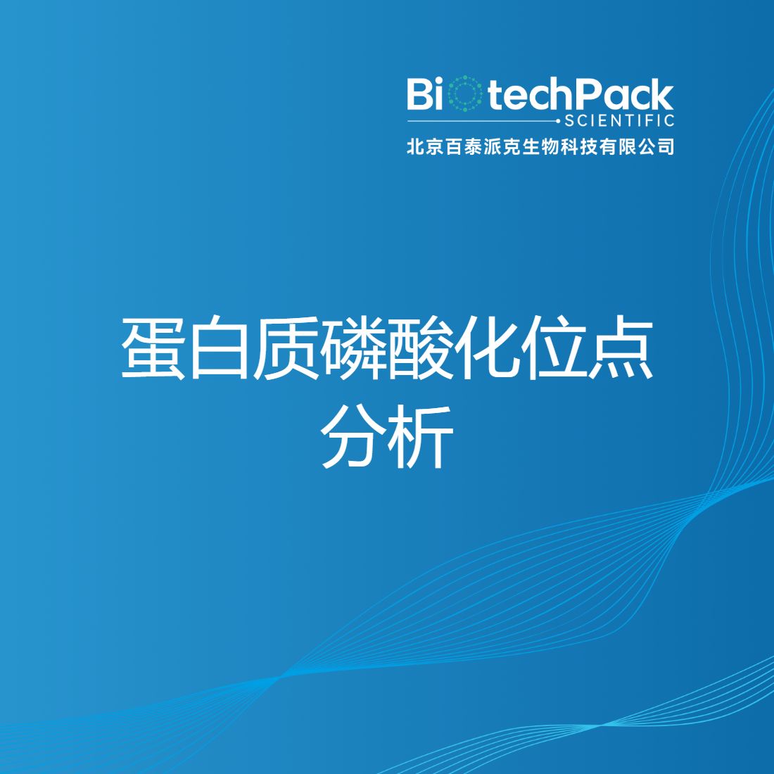 蛋白质磷酸化位点分析-百泰派克生物科技