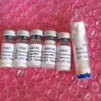 Microbulbifer aggregans	