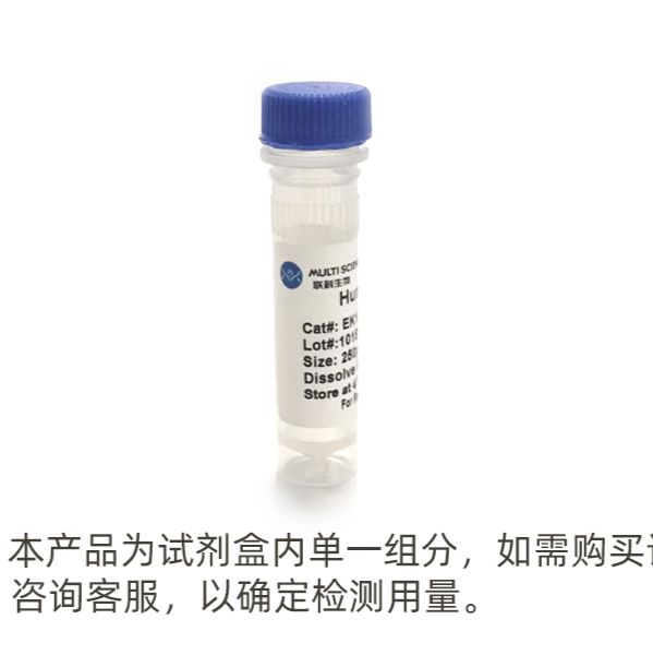 Annexin V-APC