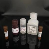 Syringic acid 丁香酸