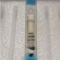 Pseudomonas sagittaria