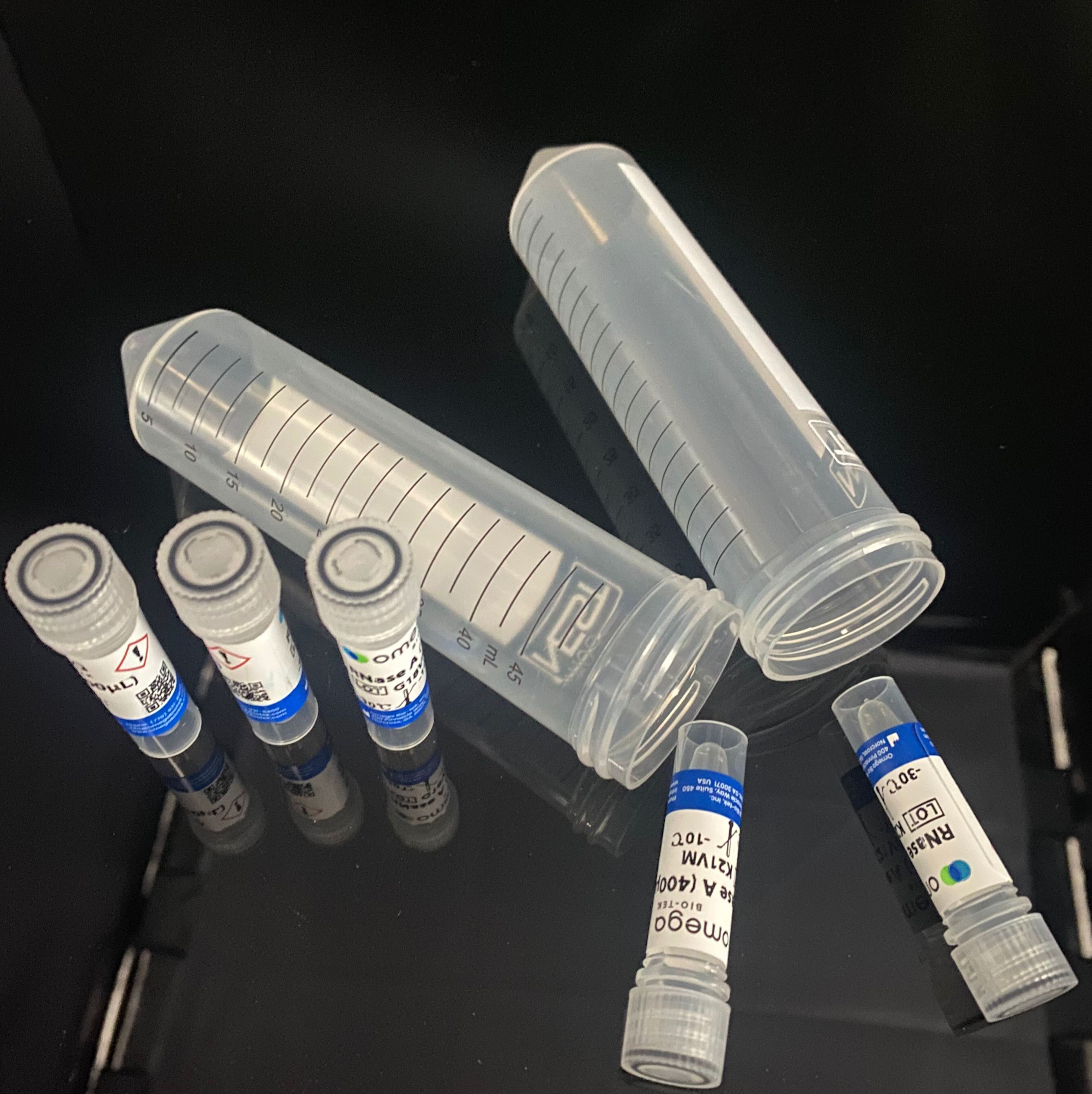 Recombinant SARS-CoV-2 (2019-nCoV) NSP2