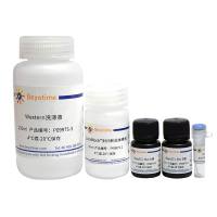 AVI标签蛋白超快速Western检测试剂盒