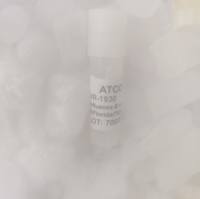 Bacillus glycinifermentans