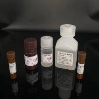 2-Methoxycinnamic acid；邻甲氧基肉桂酸