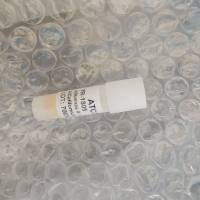 Glutamicibacter protophormiae