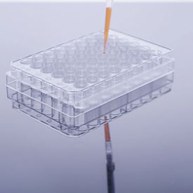 Recombinant SARS-CoV-2 (2019-nCoV) NSP13