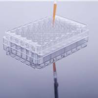 Recombinant SARS-CoV-2 (2019-nCoV) NSP13