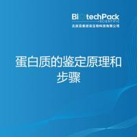 蛋白质的鉴定原理和步骤
