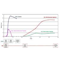 Chondrex 53100 Arthrogen CIA 5-Clone鸡尾酒试剂盒-100毫克