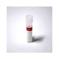 Biotium 40010 乙锭同型二聚体 I (EthD-I) Ethidium Homodimer I (solid)