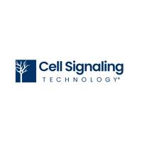 CST（Cell Signaling Technology） 13647S  STING (D2P