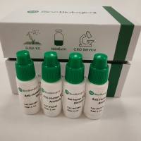 IHC病理验证抗体