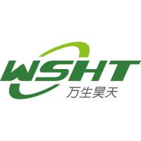 Western 免冰浴快速转膜液（粉末）