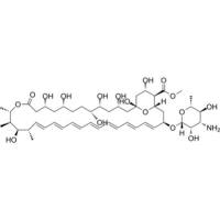 Amphotericin B methyl ester