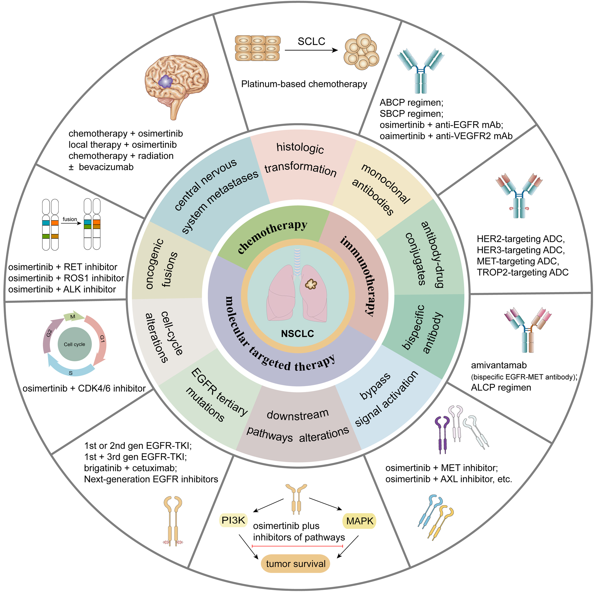 里程牌!EGFR抑制剂+双抗联合方案获批,显著延长肺癌患者生存期