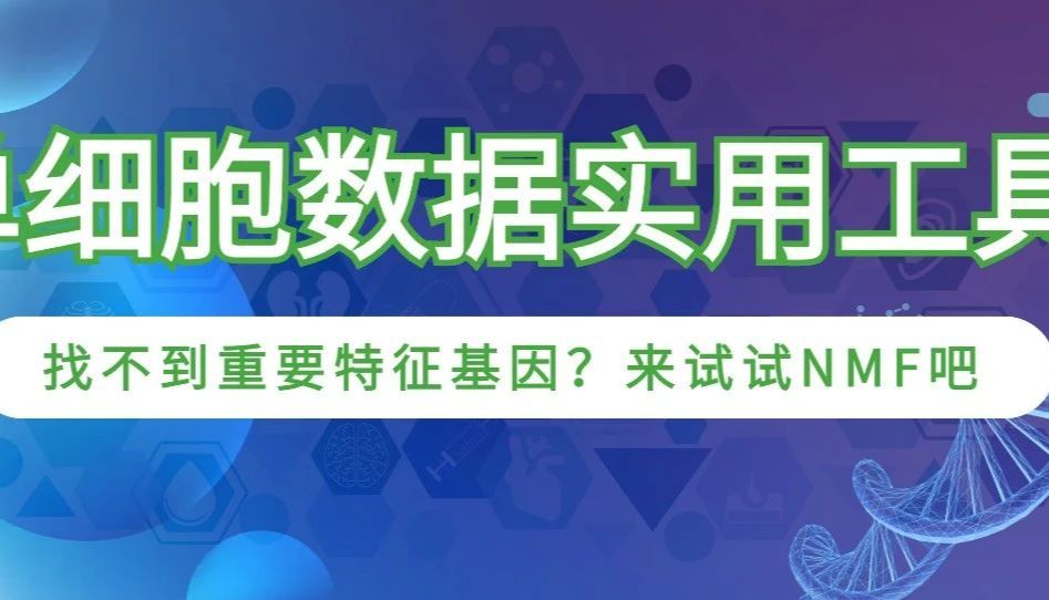 单细胞数据实用工具：找不到重要特征基因？来试试NMF吧
