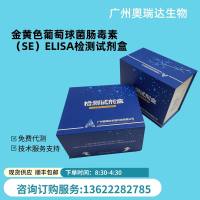 人孤腓肽（OFQ/N）ELISA检测试剂盒