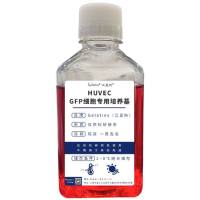HUVEC+GFP细胞专用培养基