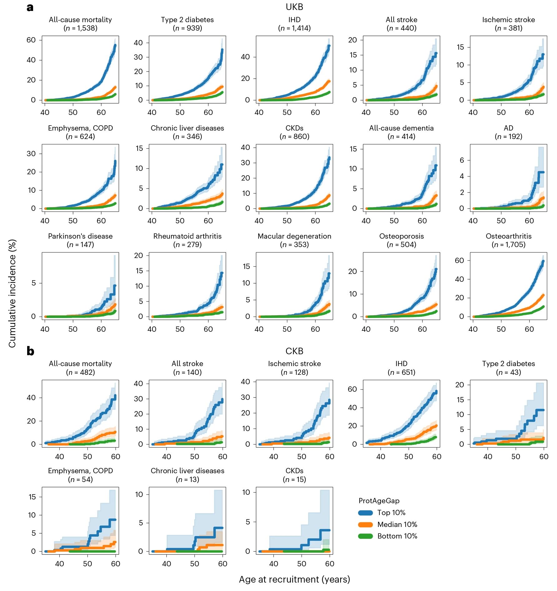 Nat Med｜揭开衰老之谜——蛋白质组衰老时钟如何预测年龄相关疾病的风险