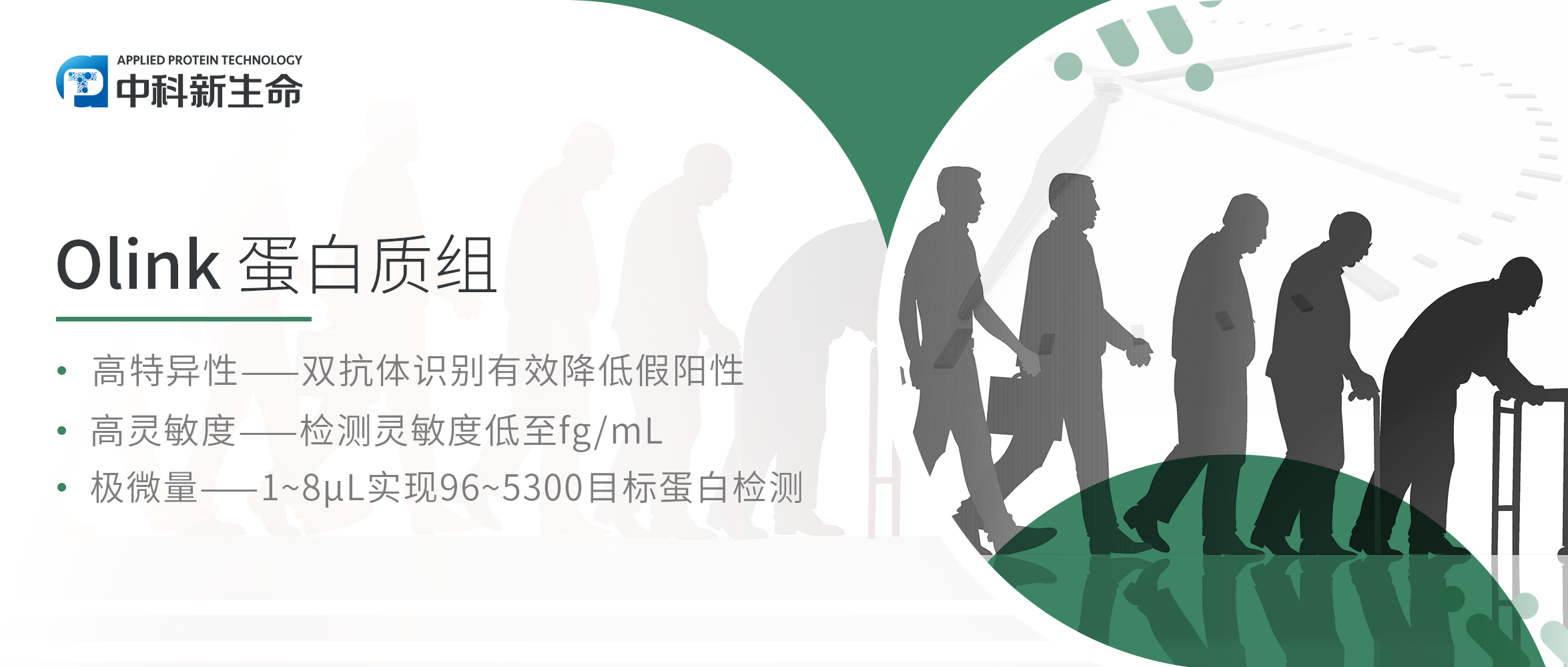 Nat Med|揭开衰老之谜——蛋白质组衰老时钟如何预测年龄相关疾病的风险