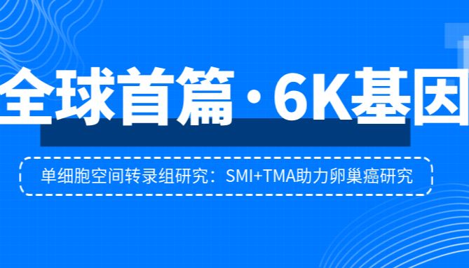 全球首篇6K基因单细胞空间转录组研究：SMI+TMA助力卵巢癌研究