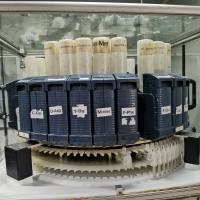 Beta-Amyloid (13-22)