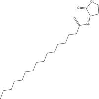 N-hexadecanoyl-L-Homoserine lactone