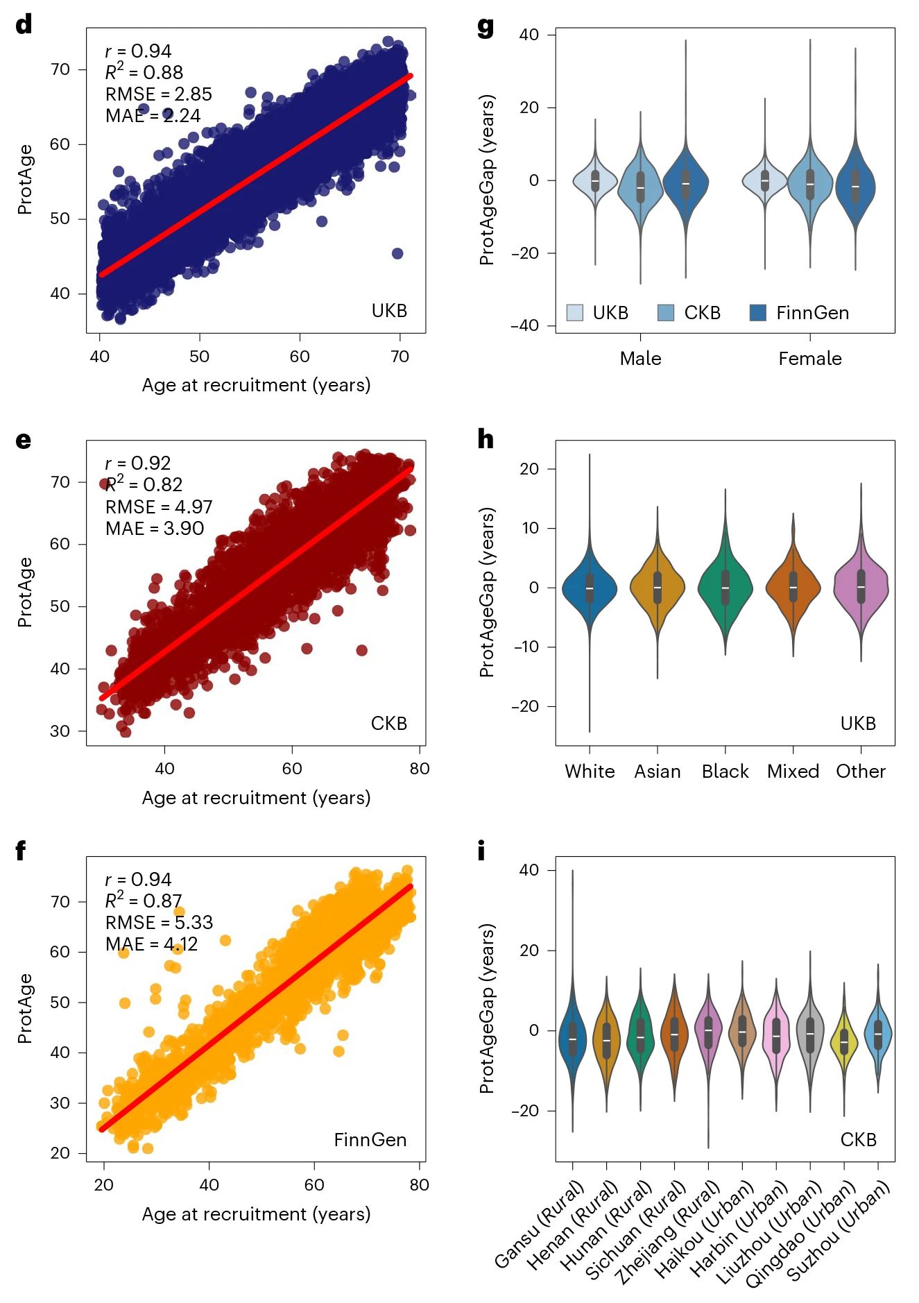 Nat Med｜揭开衰老之谜——蛋白质组衰老时钟如何预测年龄相关疾病的风险