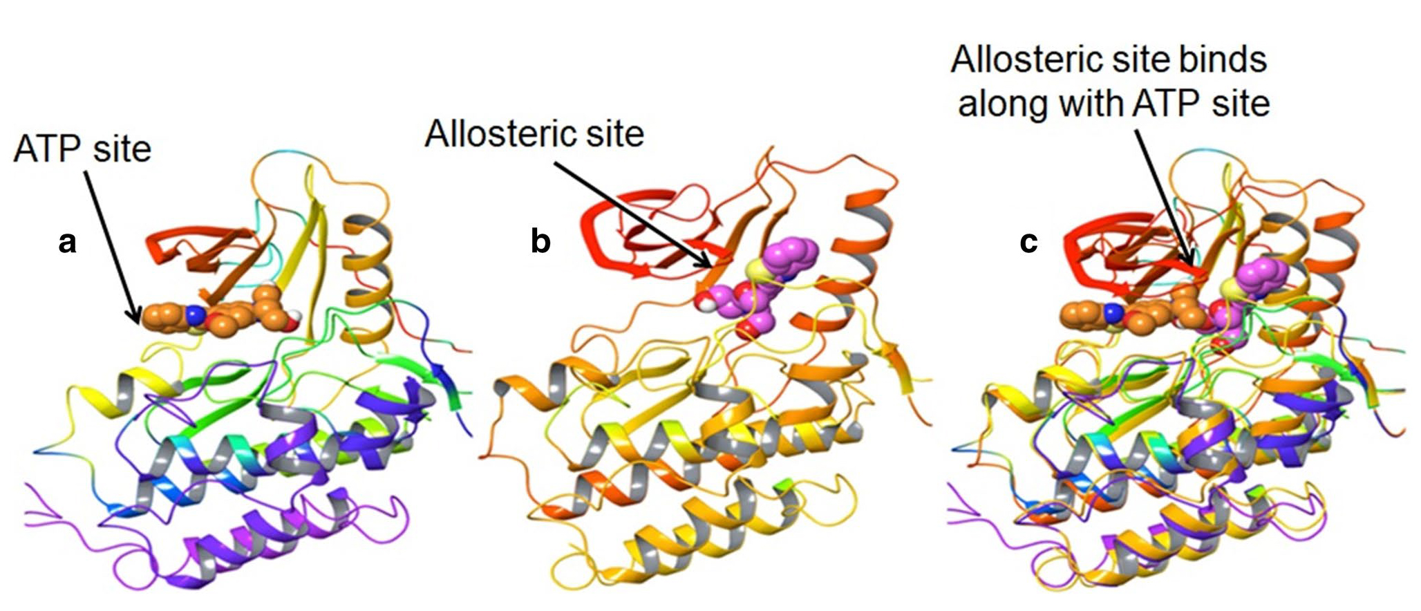 里程牌!EGFR抑制剂+双抗联合方案获批,显著延长肺癌患者生存期
