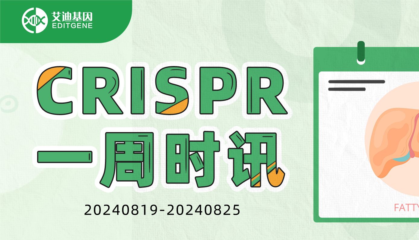 CRISPR筛选揭露工业污染物与脂肪肝之间的致命联系