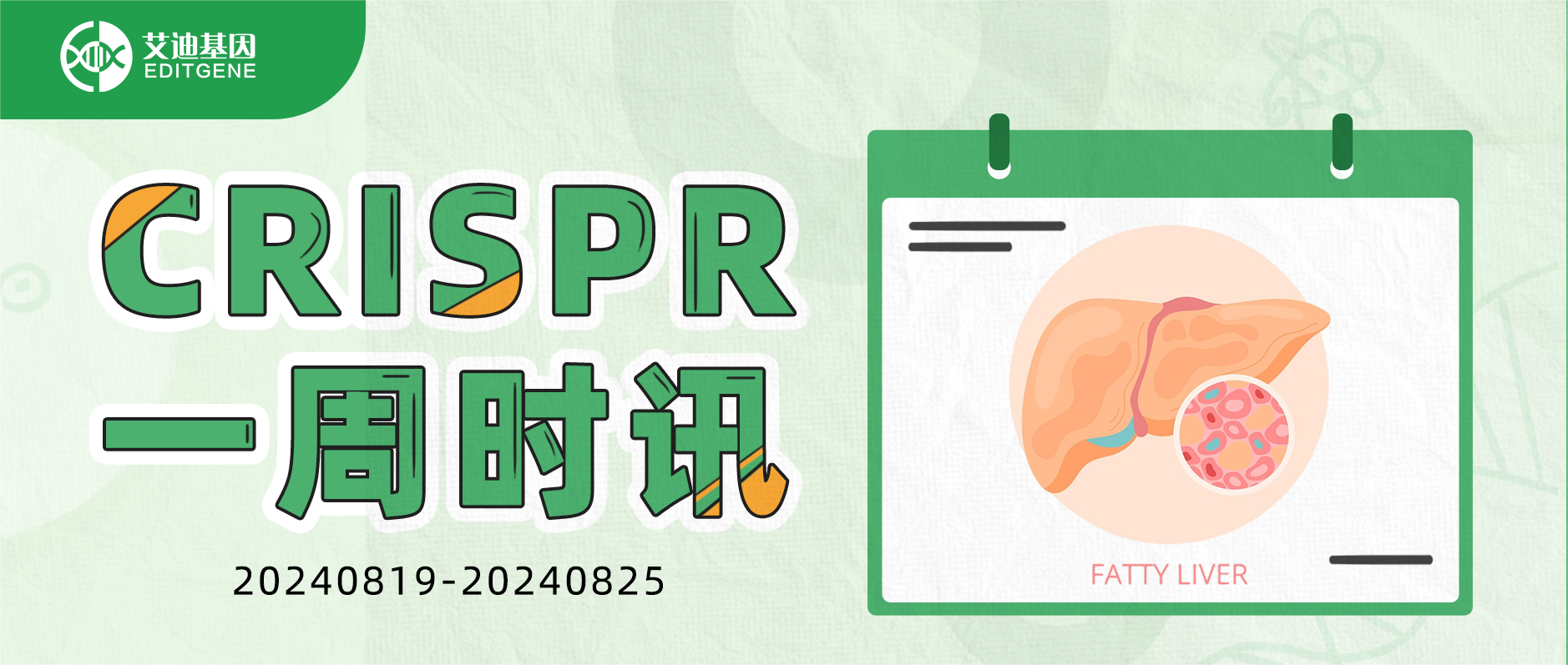 CRISPR筛选揭露工业污染物与脂肪肝之间的致命联系