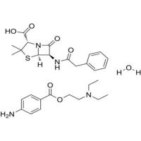 Penicillin G Procaine