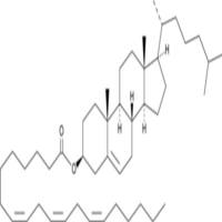 Cholesteryl Homo-γ-Linolenate