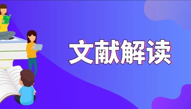 DSP助力探索胃癌中的三级淋巴结构：从原发到腹膜转移的复杂性与多样性