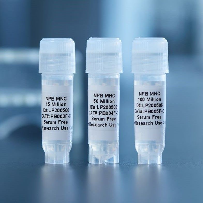 Treg 扩增服务 | CD4+CD25+ Regulatory T cell | 人Treg细胞 | 扩增Treg细胞