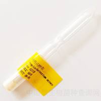 Cutibacterium acnes bio-52730 	 